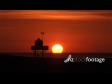Sunset Bethells 1 439