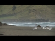 At the Beach 1 1353