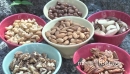 Bowls of mixed nuts outdoors (4 of 4) 21352
