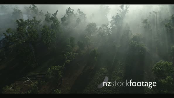 Misty Mountains - Aerial  28161