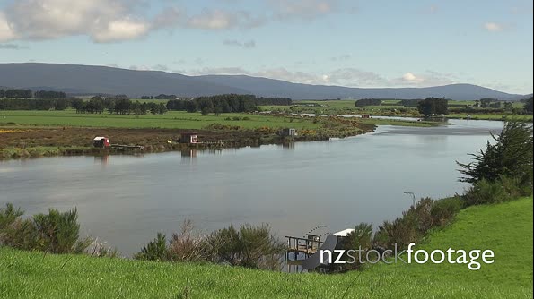 Whitebait Stands Aparima River LS 28191