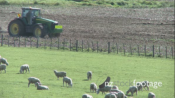 Sheep & Tractor 2 1591