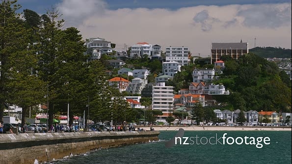 Wellington Oriental Bay 2 26483