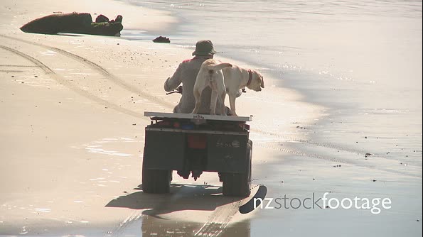 Dog and Man on a Quadbike 2875