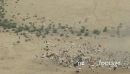Cattle Ranch Aussie Outback 1  Aerial 4398