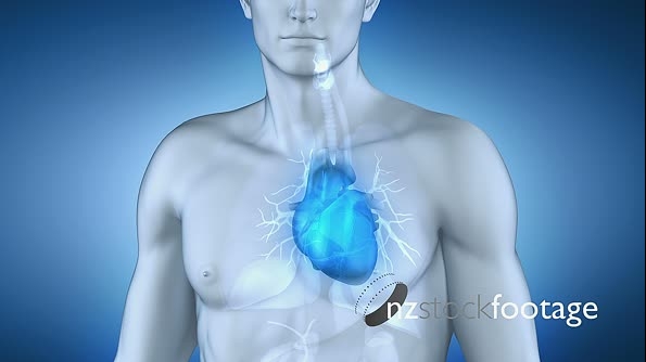 Mans Heart 3D Animation  5684